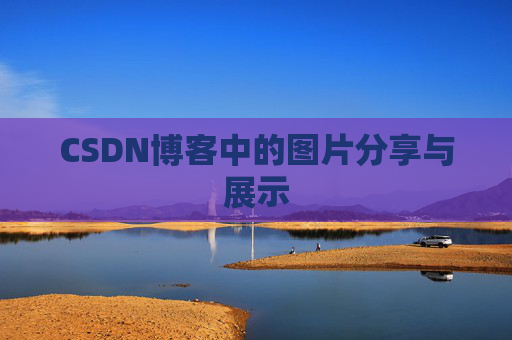 CSDN博客中的图片分享与展示